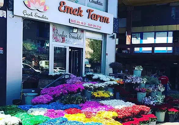 biz-kimiz